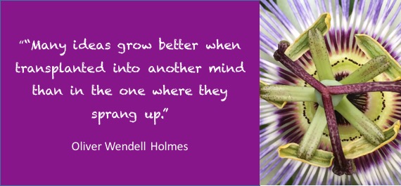 Many ideas grow better