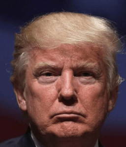 trump-picture-speaks-a-thousand-words